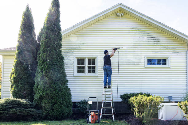 Best Graffiti Removal  in Escanaba, MI